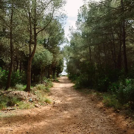 Camping Ribamar-3